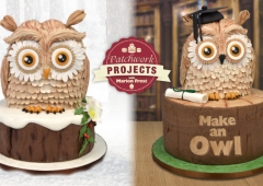 Make an Owl (DVD)